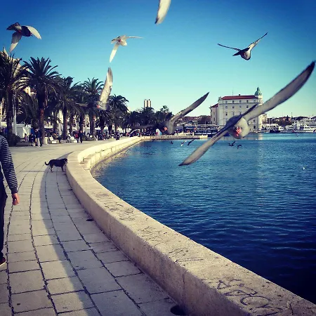 Sunny Day Apartmants
